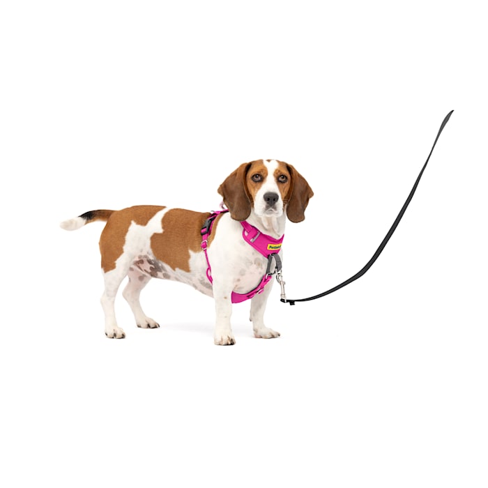 PetSafe Easy Walk Comfort No-Pull Dog Harness, Small/Medium, Pink