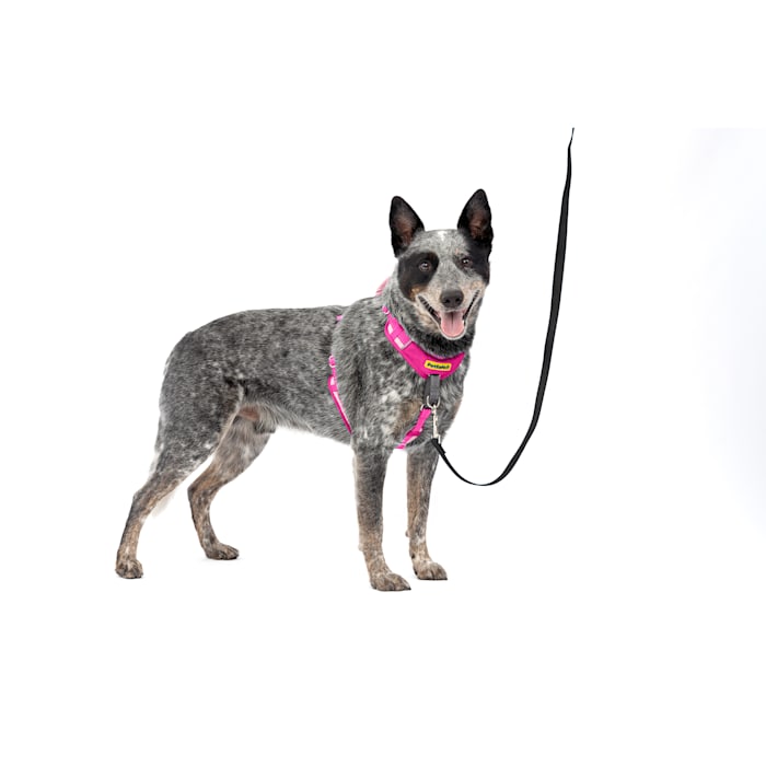 PetSafe Easy Walk Comfort No-Pull Dog Harness, Medium/Large, Pink
