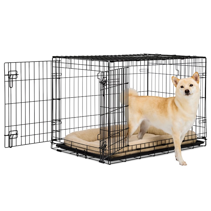 EveryYay 2-Door Dog Crate, 36" L X 23" W X 24.9" H, Black: With Handles, Large