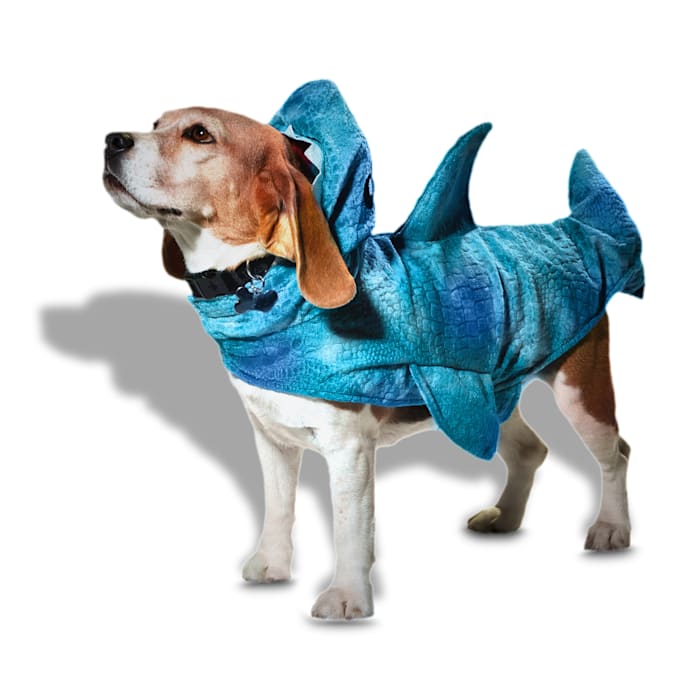 Petco Shark Hooded Pet Halloween Costume, Blue, Large