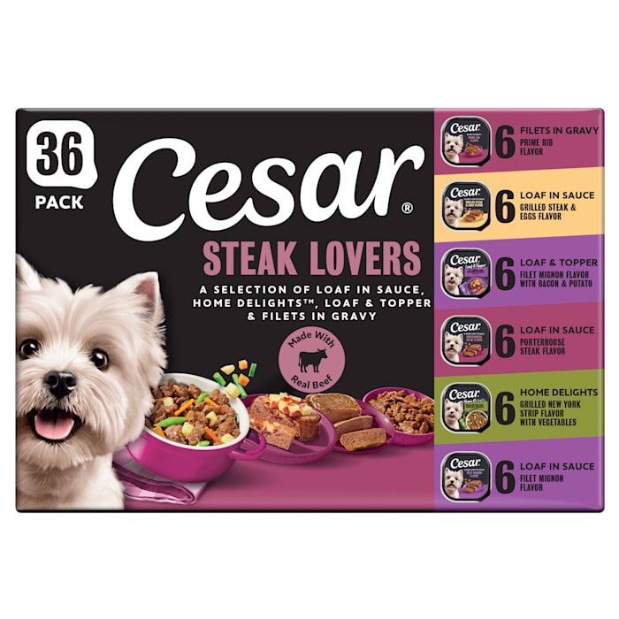 Cesar Steak Lovers Variety Pack with Real Meat Wet Dog Food, 3.5 oz, Count of 36
