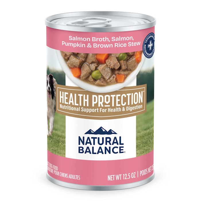 Natural Balance Health Protection Salmon Broth, Pumpkin & Brown Rice Stew Wet Dog Food, 12.5 oz.
