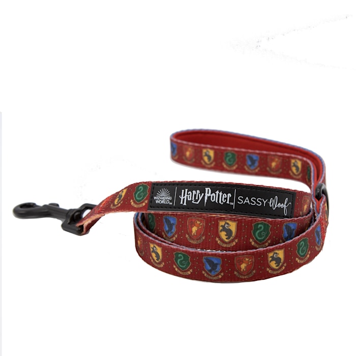 Sassy Woof Harry Potter Dog Leash, 60 in. L X 0.8 in. W, Red
