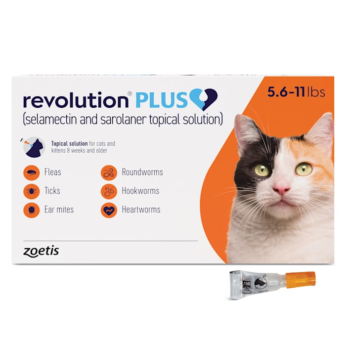Revolution Plus Topical Solution 5.6-11lbs Cat, 1 Month Supply