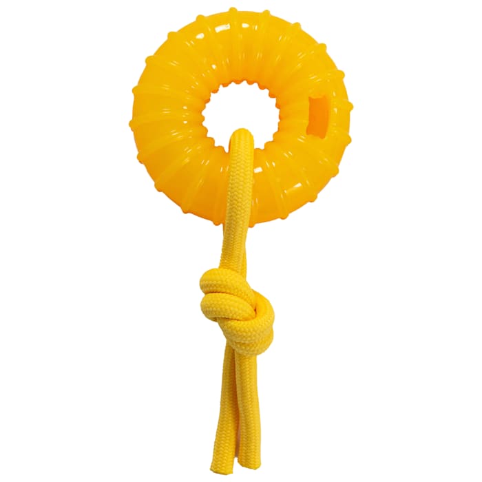 Outward Hound Gummiez Peach Ring 2-in-1 Dental Dog Chew Toy and Dog Treat Stuffer Game Peach Scent for Dogs, Medium