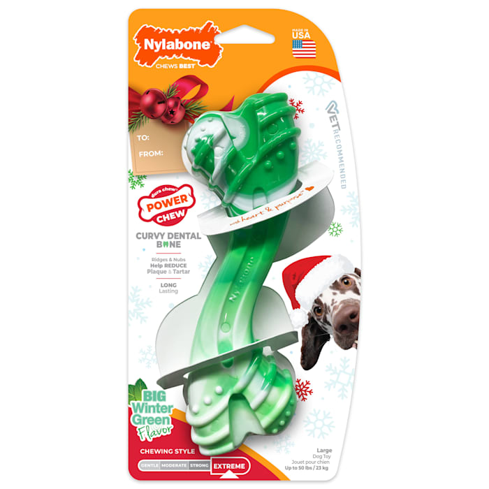 Nylabone Wintergreen Holiday Power Curvy Dental Bone Chew Dog Toy