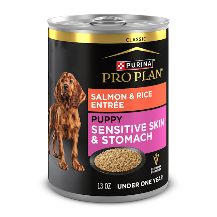 Purina Pro Plan Puppy Classic Sensitive Stomach and Skin with Salmon and Rice Entree Wet Dog Food, 13 oz., Case of 12