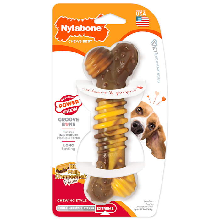 Nylabone Philly Cheesesteak Power Chew Dental Bone Dog Toy, Medium