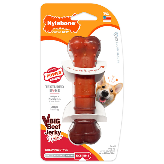 Nylabone Beef Jerky Power Chew Textured Bone Dog Toy, Small