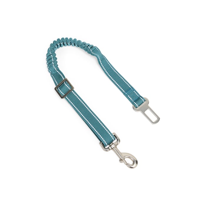 EveryYay Pet Bungee Seat Belt Adapter, Green