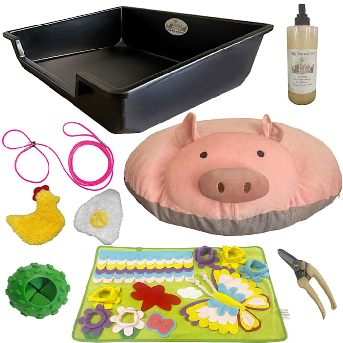 Piggy Poo and Crew Pink Pig Bundle Starter Pack - Includes All the Essentials, Assorted, XL