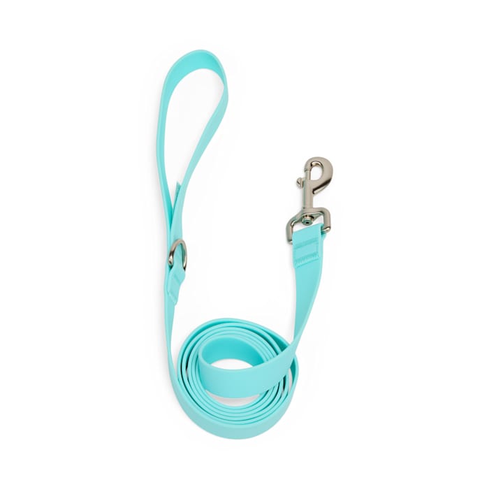 YOULY Waterproof Dog Leash, Light Blue, 6-ft long, 1-in wide