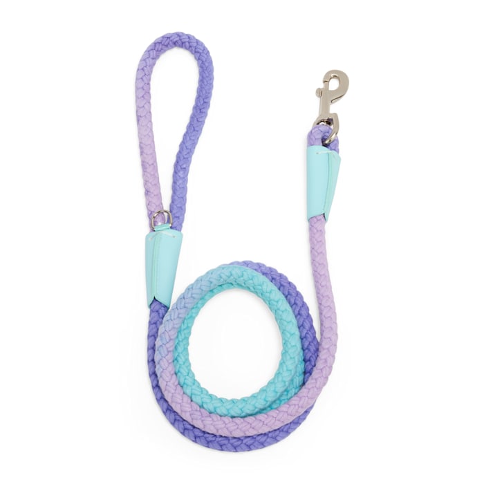 YOULY Ombre Rope Dog Leash, 6-ft long, 1/2-in wide, Blue/Purple