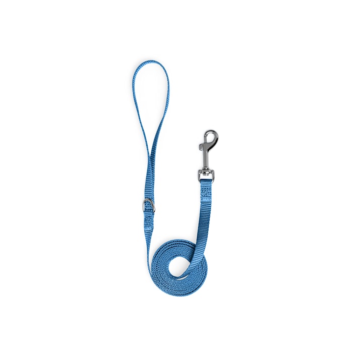 YOULY Nylon Dog Leash, Royal Blue, 6-ft long, 1/2-in wide