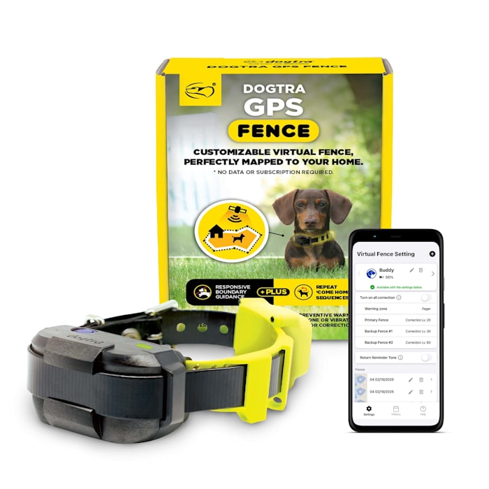 Dogtra Gps Fence, Black