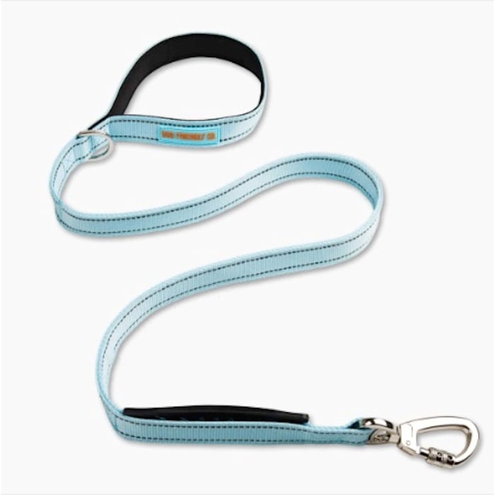 Dog Friendly Co Classic Dog Leash, Sky Blue, 4 ft. Long, 0.79 in. Wide
