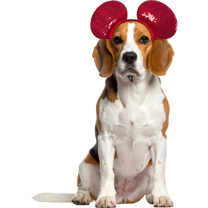 RUBIES Mickey Ears Valentines for Dogs, Red, Medium/Large