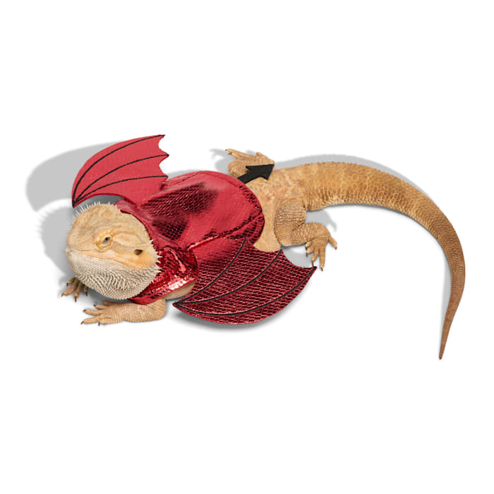 Petco Devil Bearded Dragon Pet Halloween Costume, Red