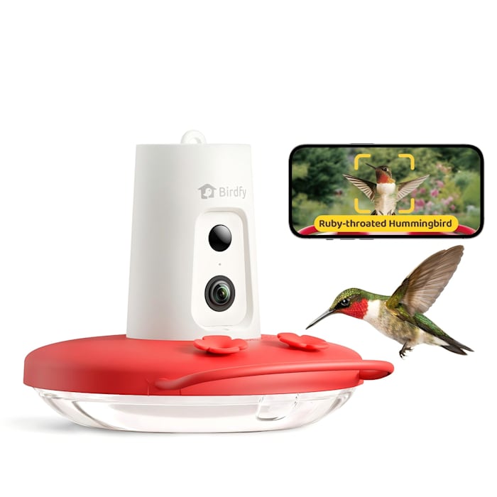 Birdfy Humming Bird Feeder with Camera, Motion Detection, 6.89" L X 7.99" W X 5.04" H