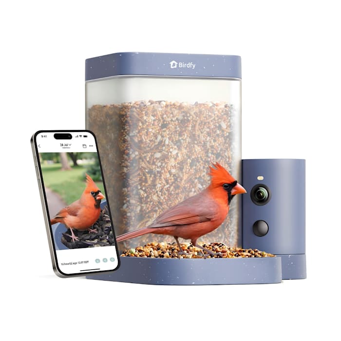 Birdfy Rookie Smart Bird Feeder with Camera, Slow Motion and Dual Night Vision, 6.97" L X 6.18" W X 7.83" H
