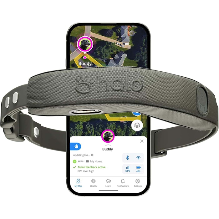 Halo Collar 5, Subscription Required, Waterproof, New Wireless Dog Fence & GPS Dog Collar, Graphite, Grey