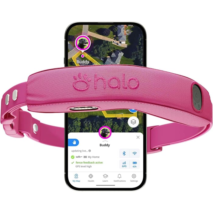Halo Collar 5, Subscription Required, Waterproof, New Wireless Dog Fence & GPS Dog Collar, Orchid, Pink