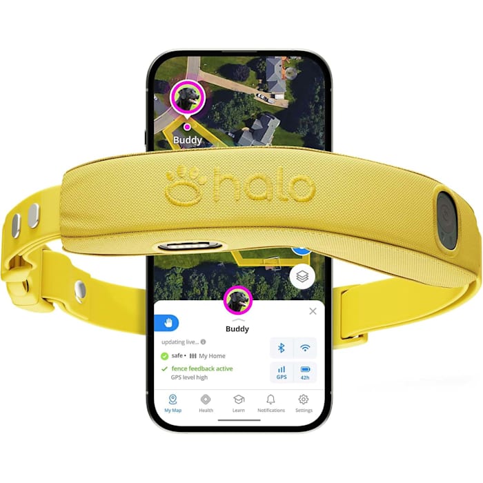 Halo Collar 5, Subscription Required, Waterproof, New Wireless Dog Fence & GPS Dog Collar, Sunburst, Yellow