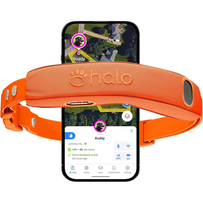 Halo Collar 5, Subscription Required, Waterproof, New Wireless Dog Fence & GPS Dog Collar, Blaze, Orange