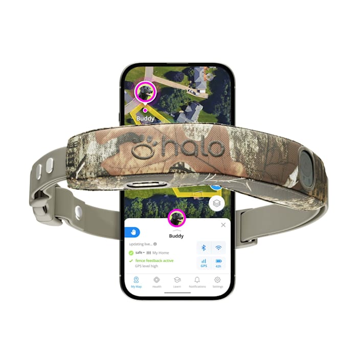 Halo Collar 5, Subscription Required, Waterproof, New Wireless Dog Fence & GPS Dog Collar, Realtree Camo, Brown