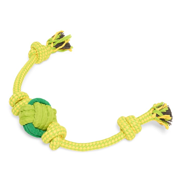 Petco Green Knotted Rope Rug Dog Toy, Large