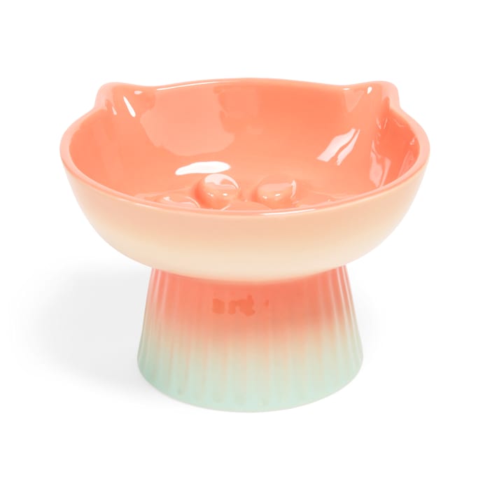 Petco Orange/Teal Gradient Raised Ceramic Slow Feeder Cat Bowl, 1 Cup, Small