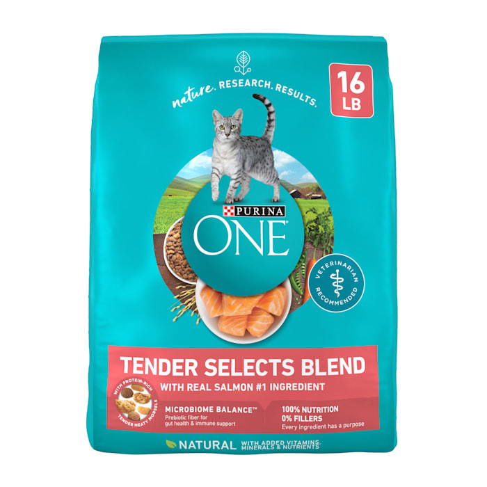 (Best by: Apr 2026) Purina ONE Tender Select Blends Dry Cat Food  Salmon  16 lb Bag 
