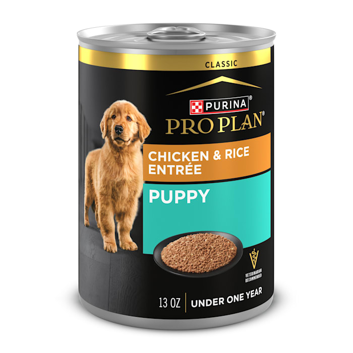 UPC 038100027733 product image for Purina Pro Plan FOCUS High Protein, Chicken and Brown Rice Entree Puppy Food Pat | upcitemdb.com