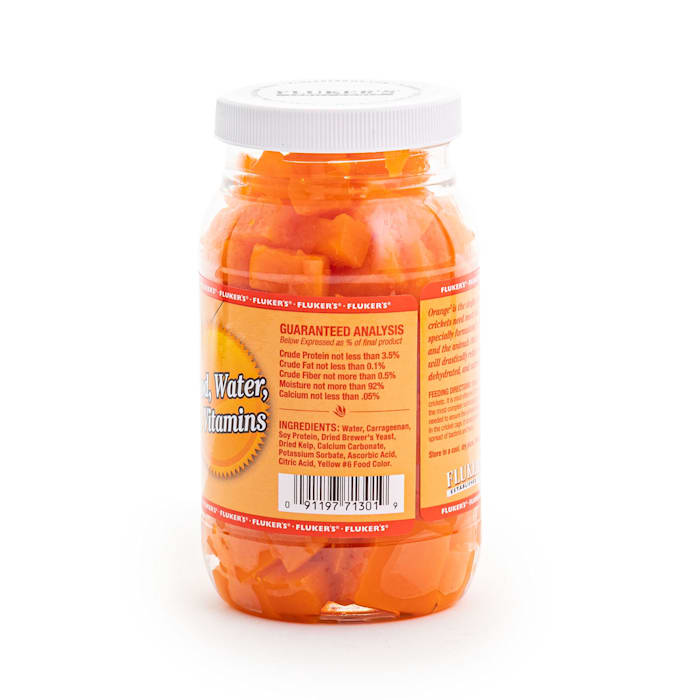 UPC 091197713019 product image for Fluker's Orange Cube Complete Cricket Diet, 12 oz. | upcitemdb.com