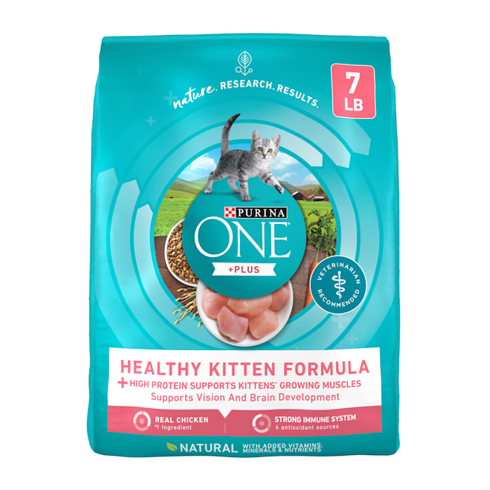 UPC 017800029650 product image for Purina ONE Healthy Kitten Formula +Plus High Protein, Natural Dry Food, 7 lbs. | upcitemdb.com