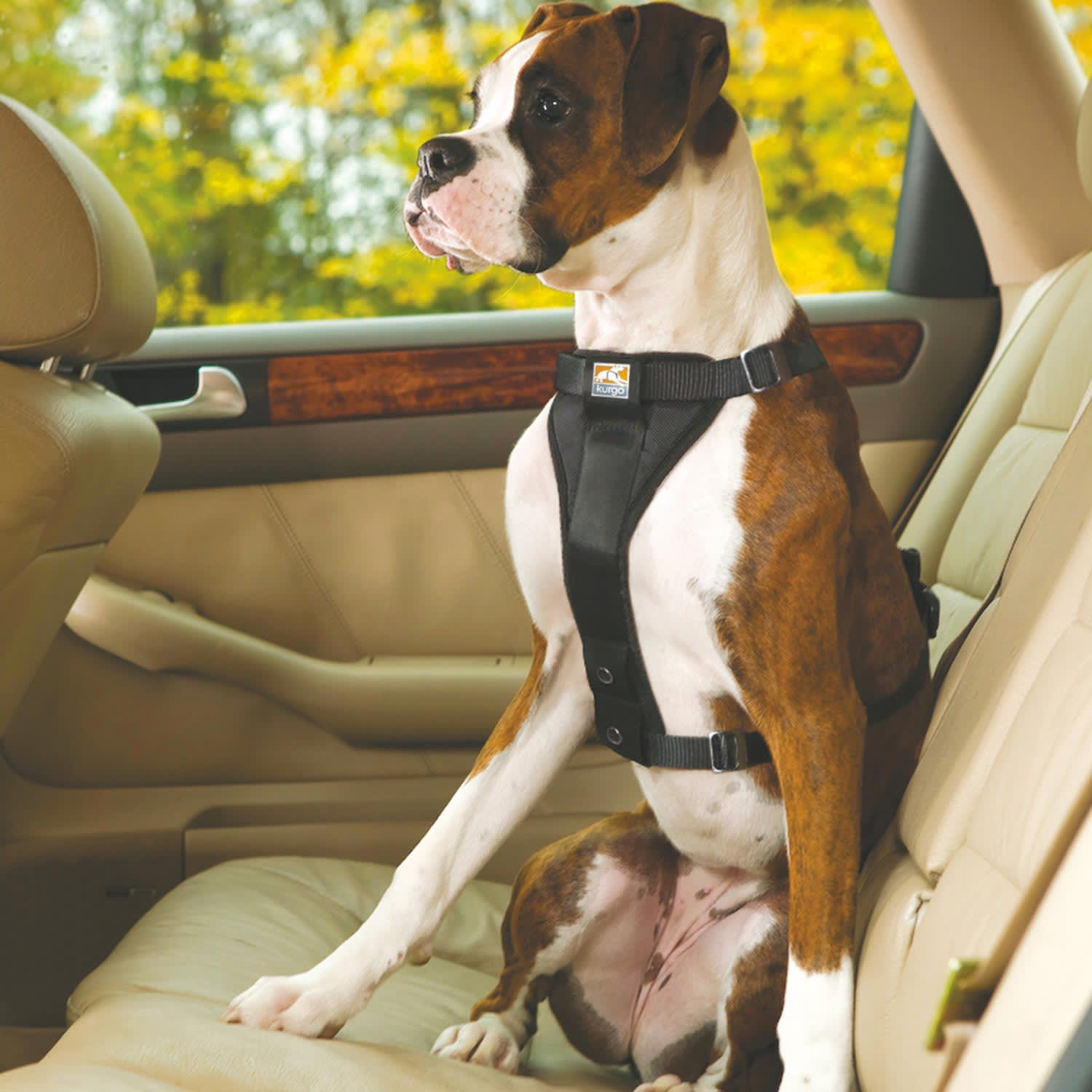 Tru-Fit Smart Dog Seat Belt Harness with Seatbelt Tether – Pet