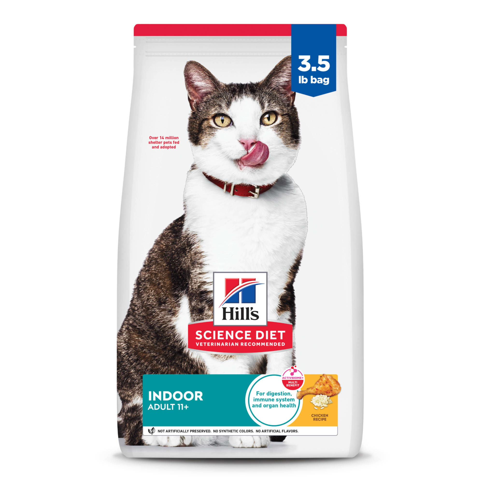 Cats Icon Old Cat Not Eating Appetite Control Care Thin Slices In