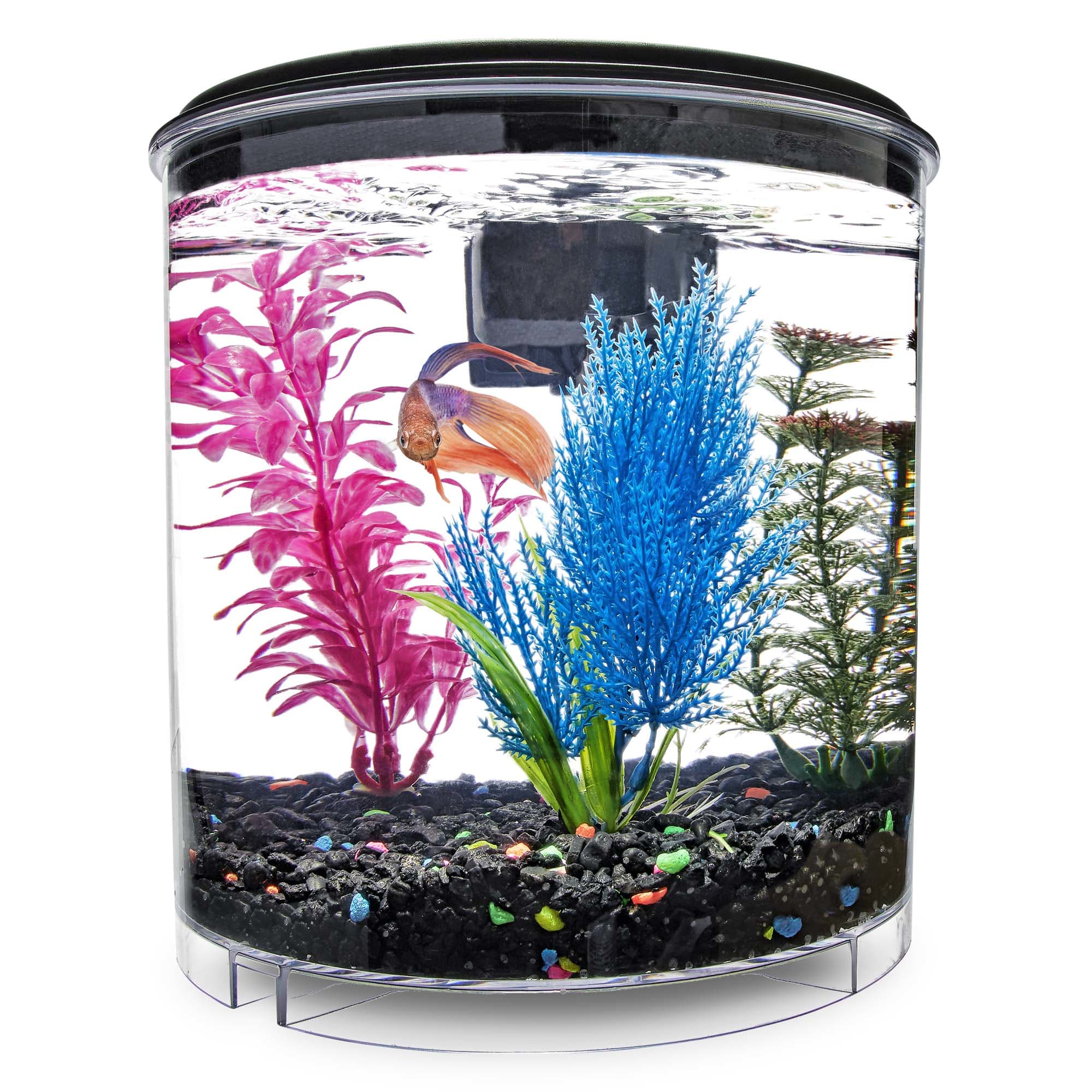 Acrylic Two Splits Aquarium Betta Fish Bowl - The Fish Tank Place