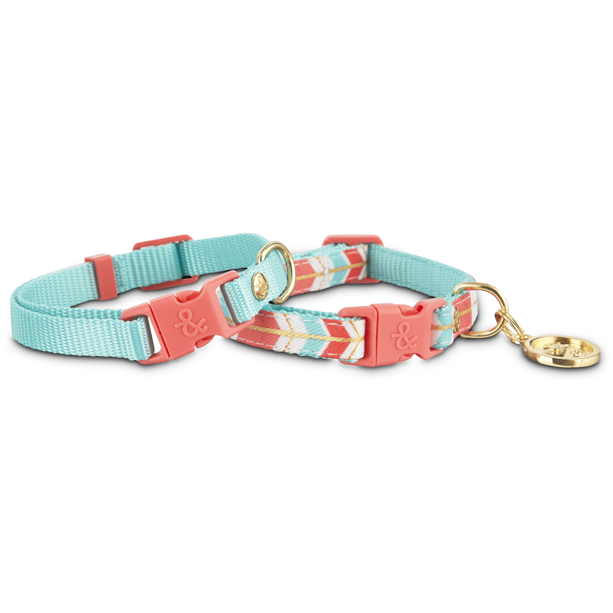 Cute Dog Collars For Small Dogs