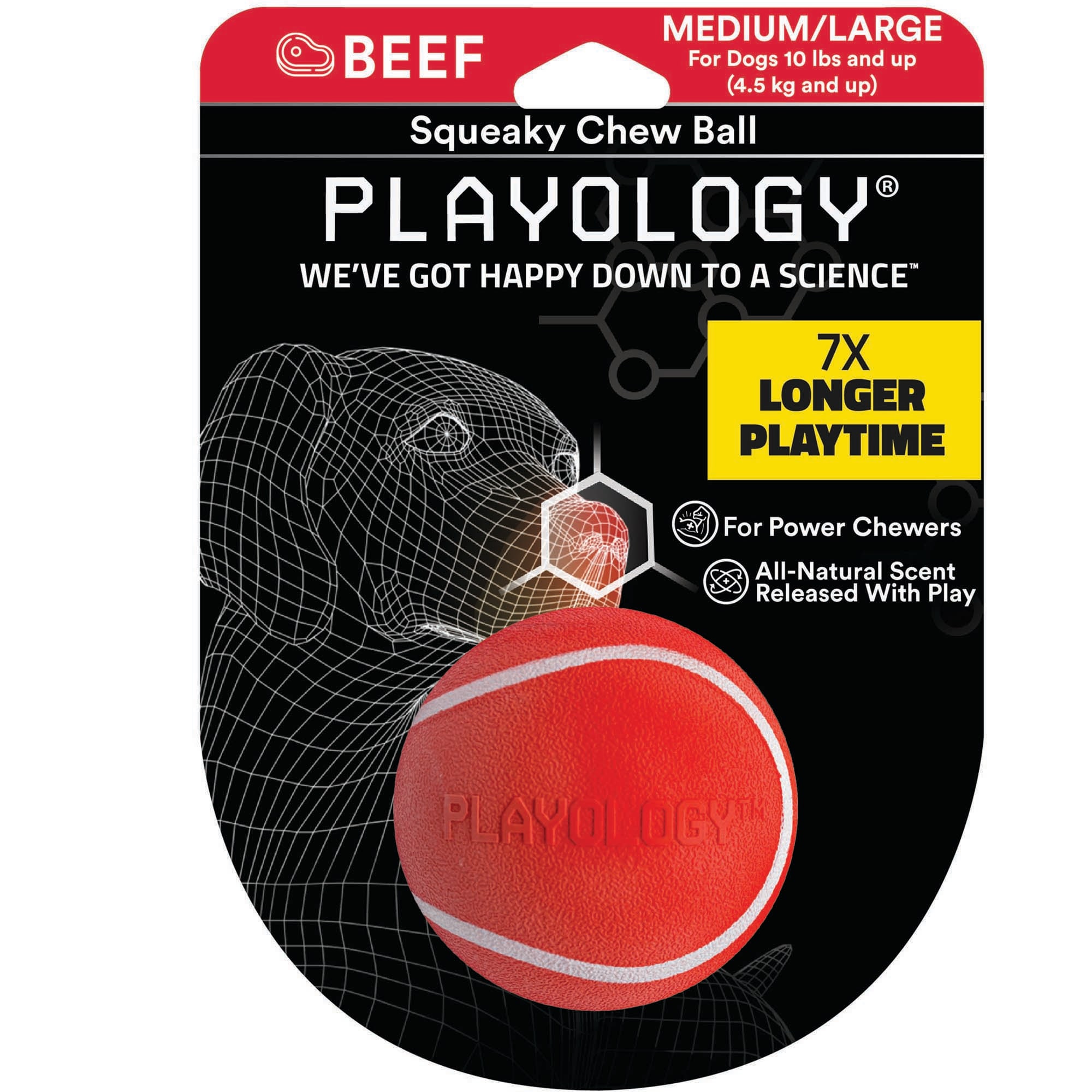 Playology Beef Scent Squeaky Chew Ball Dog Toy, X-Large