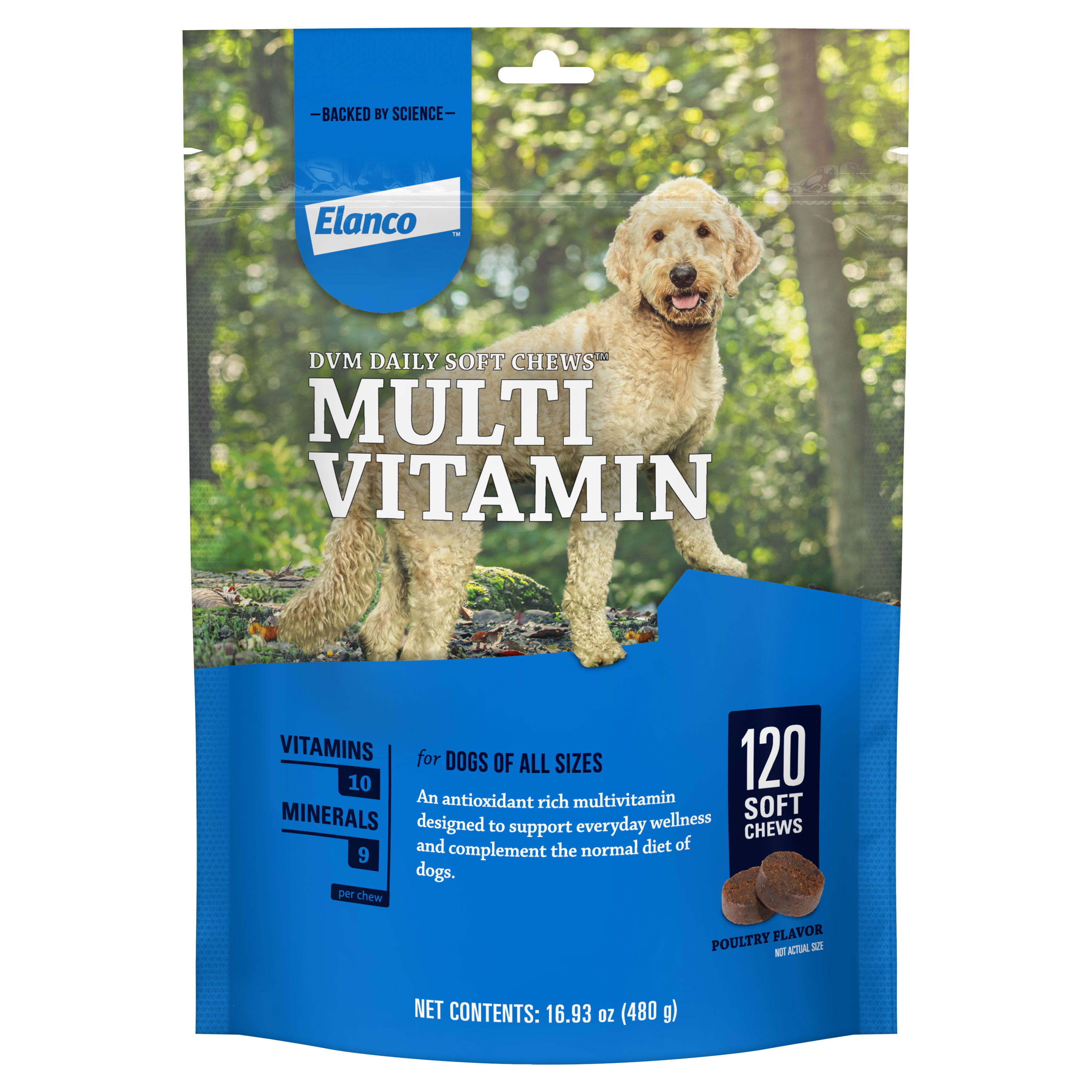 Antioxidant Supplements For Dogs