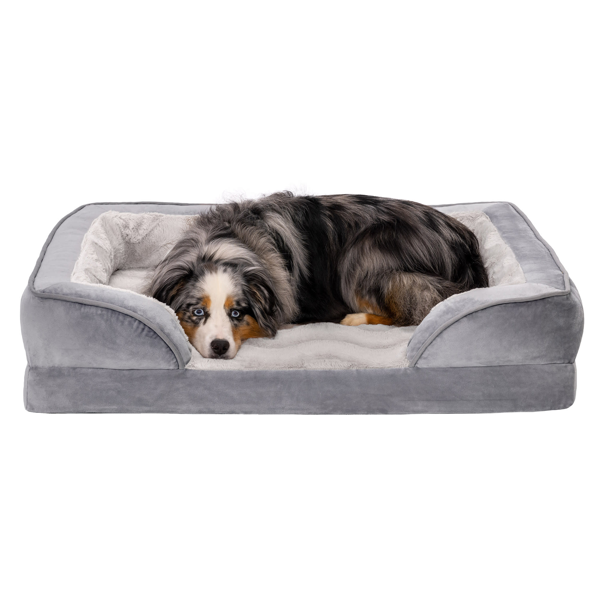 BLACK+DECKER Black Soft Breathable ECO Filling Four Way Snap Pet Bed for  Small Dogs, 20 L X 16 W X 3 H