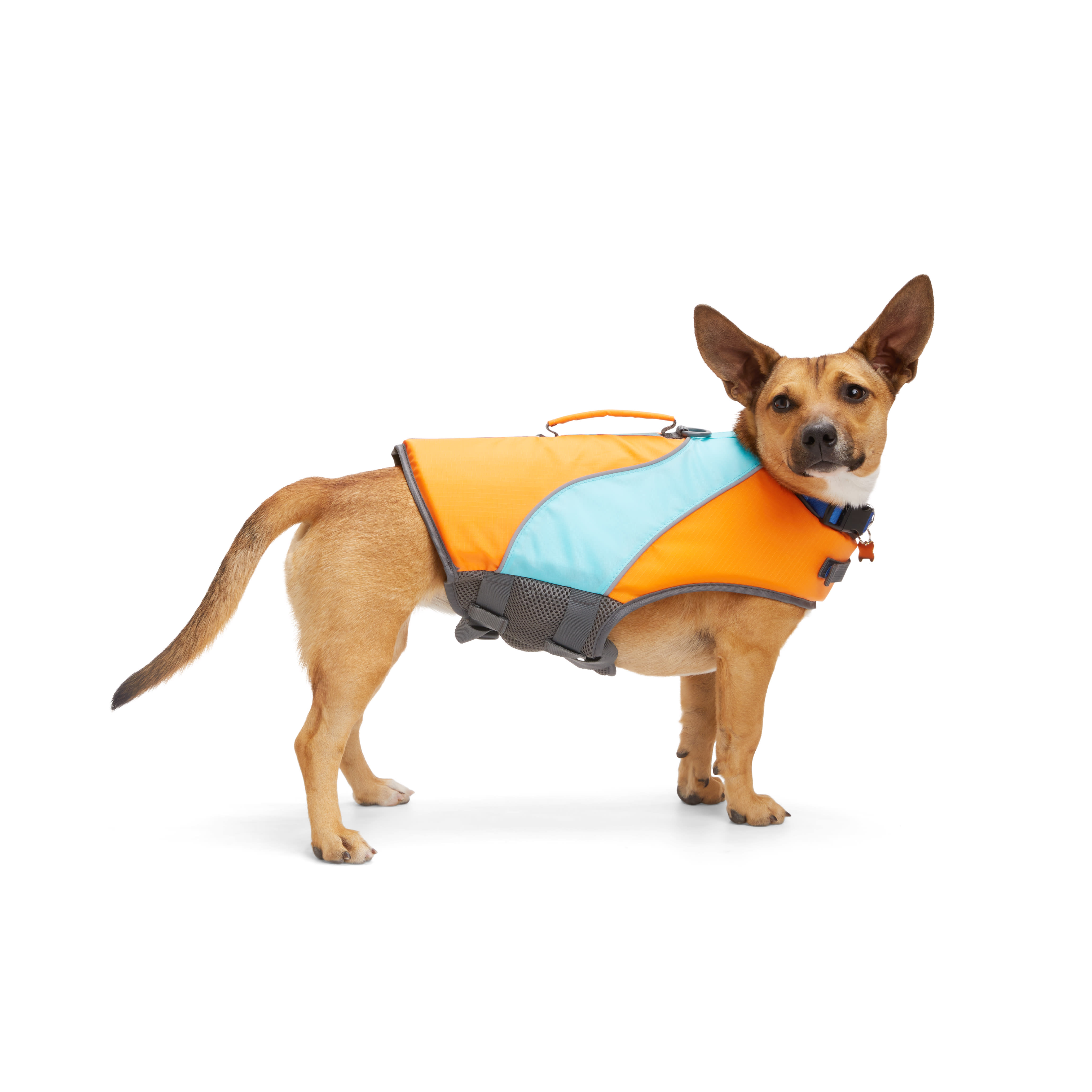 Dog Flotation Vest Petco Mermaid Life Jacket Life Vest For Dogs