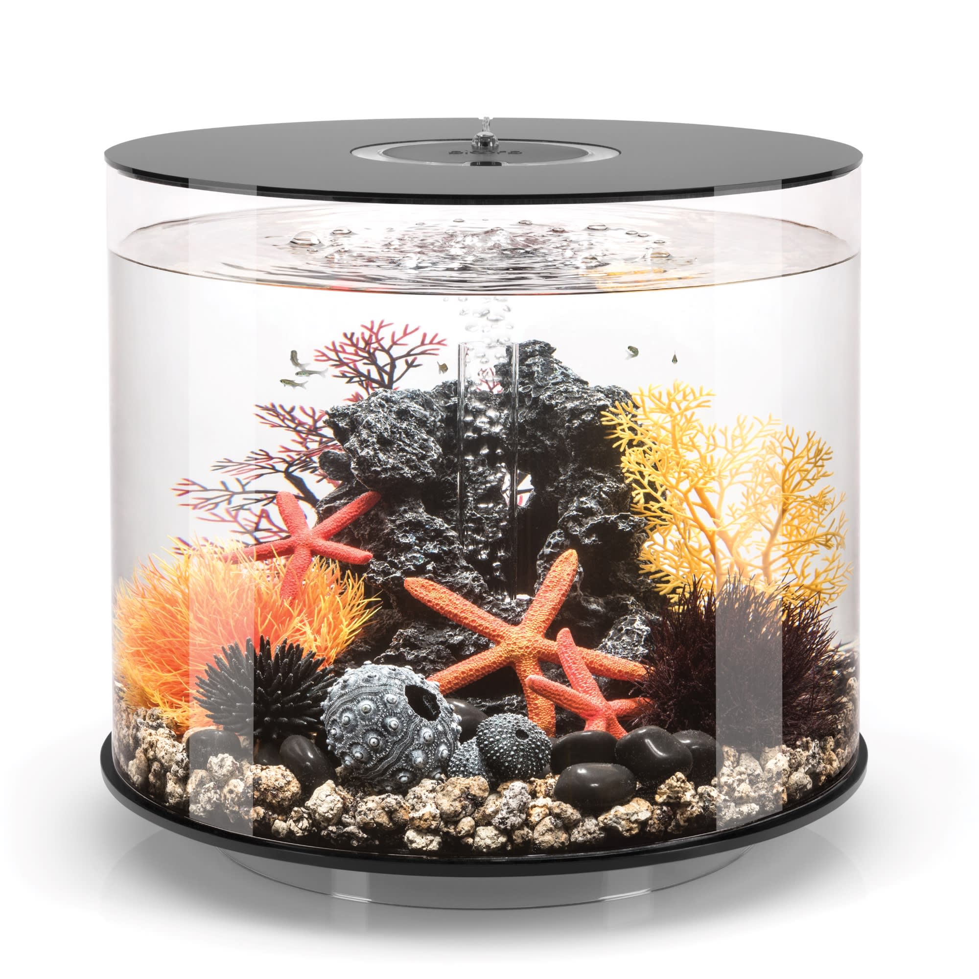 10 liters!? : r/Aquariums