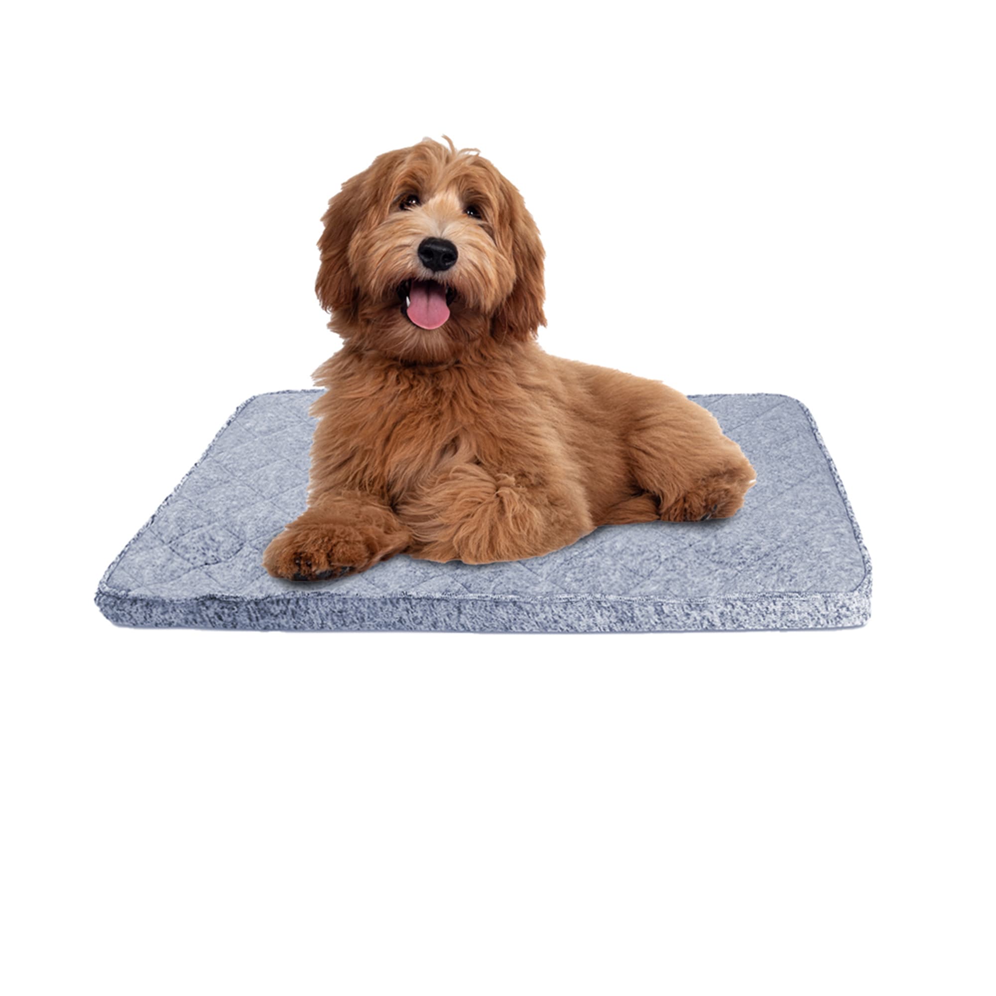 Animaze Bolster Gray Dog Mat, 16 L X 10 W