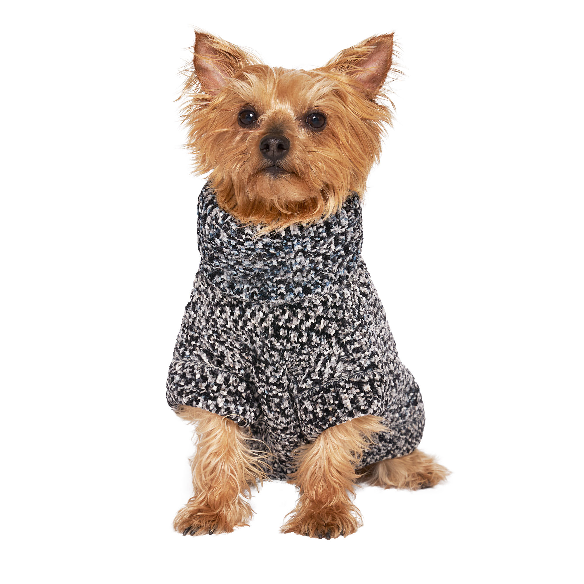 Pets First Seattle Seahawks Small Dog Puffer Vest | Petco