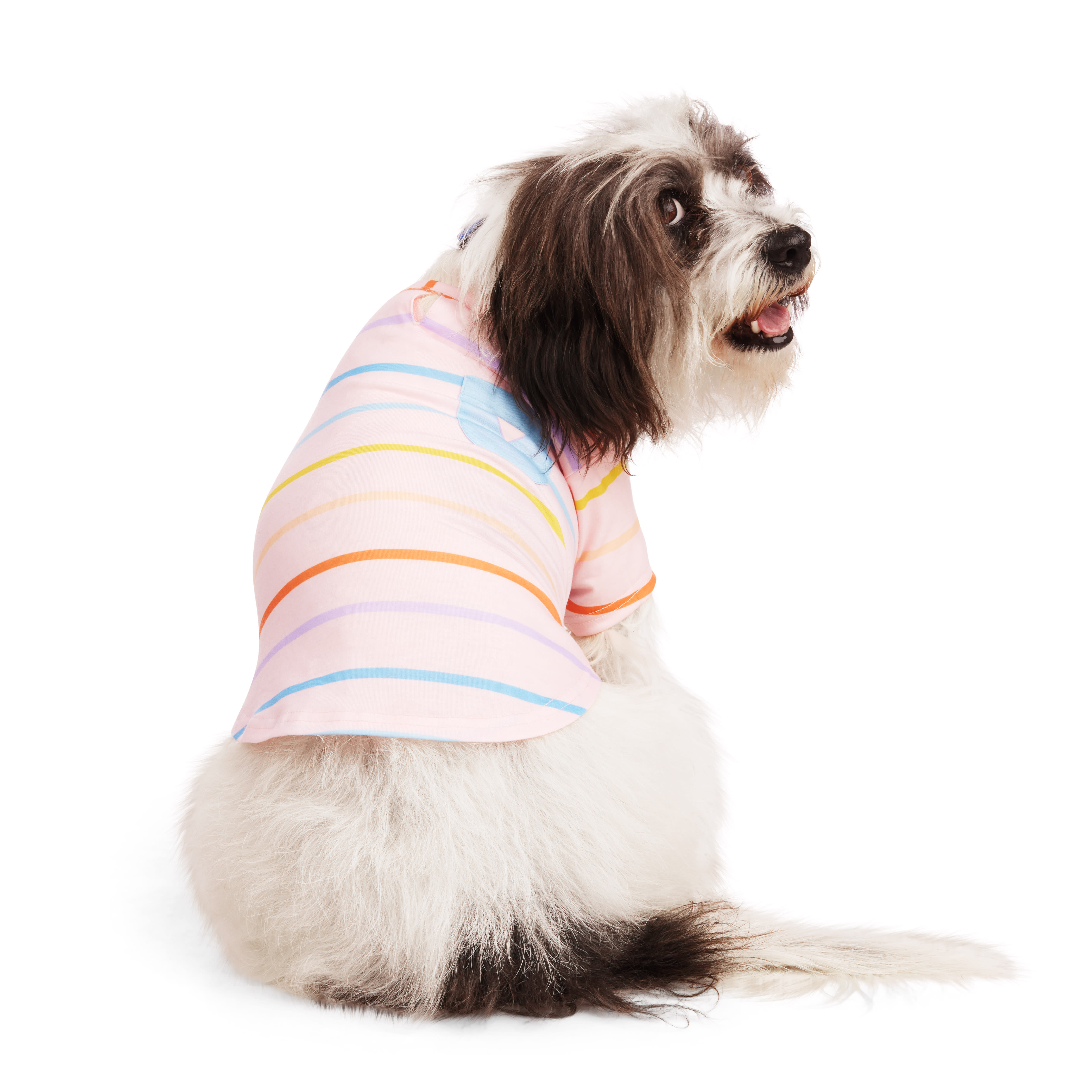 Pet Life Active 'Warf Speed' Heathered Ultra-Stretch Sporty Dog T-Shirt -  Blue - Small - Unisex - Pet Clothing in the Pet Clothing department at