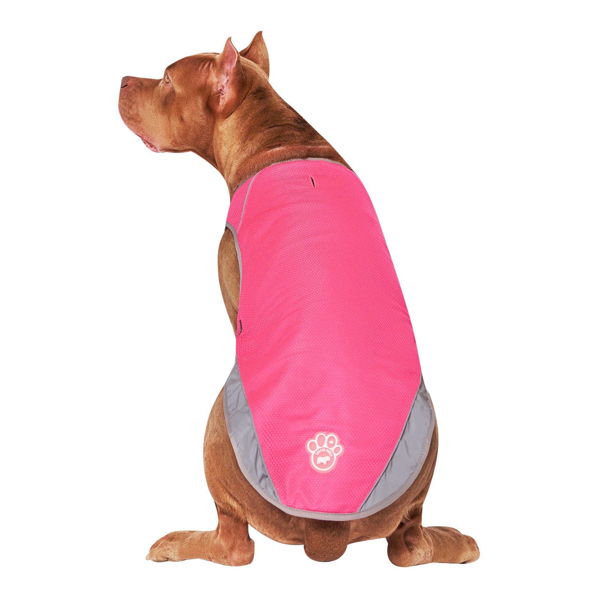 Dallas Cowboys Water Resistant Reflective Pet Jacket