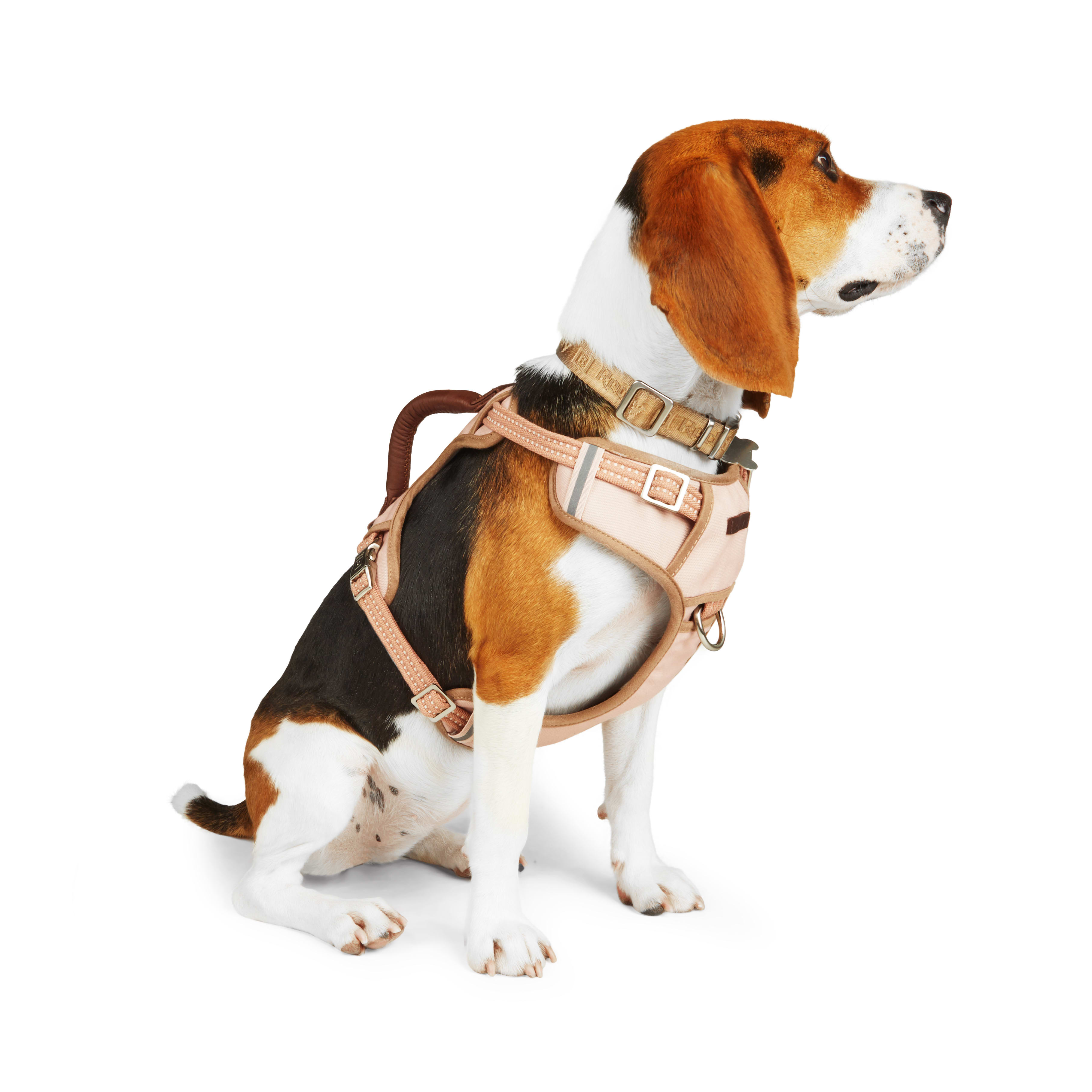 M-PETS Flex Pro Multi-Functional Dog Lead, Camouflage • Shop Online at  Petmania •