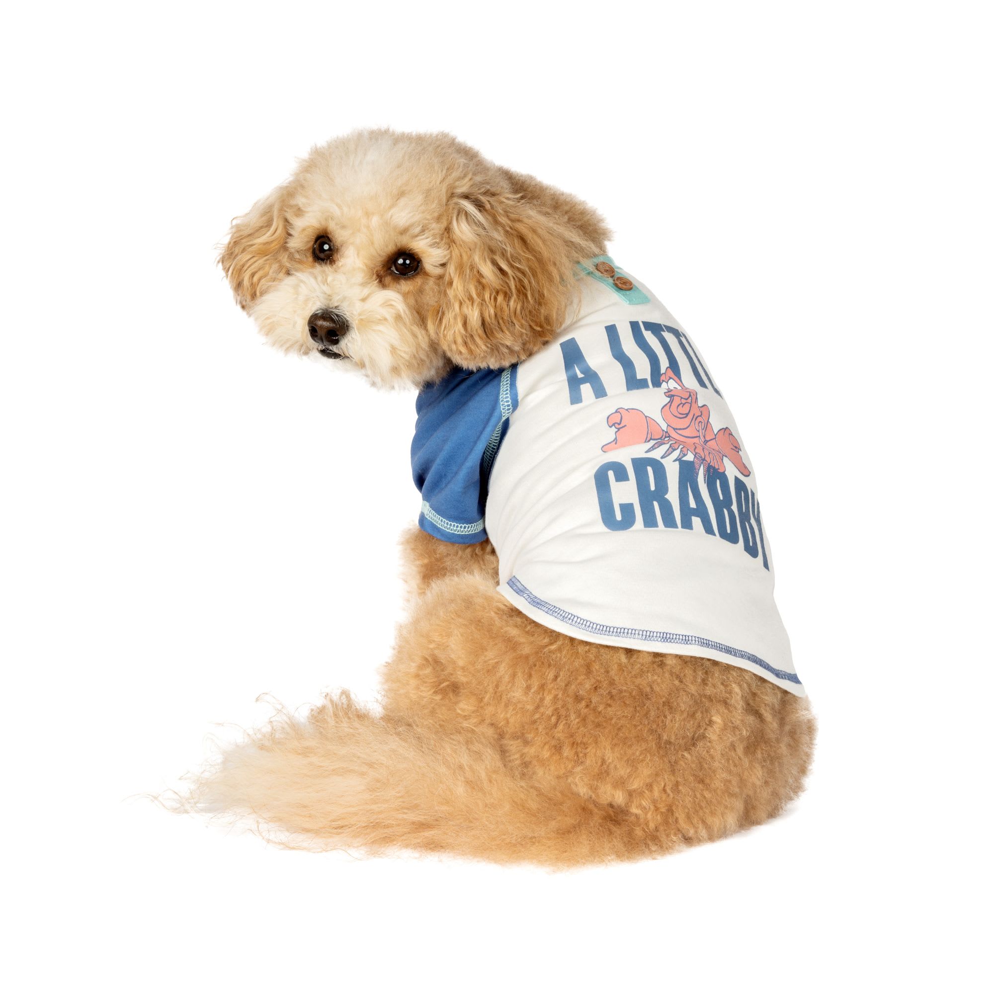 Pets First Chicago Cubs Throwback Extra Small Dog Mesh Jersey | Petco